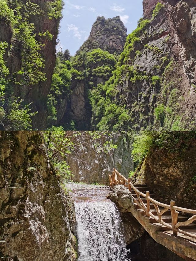 去遮陽山，看不一樣的山，享受清歡