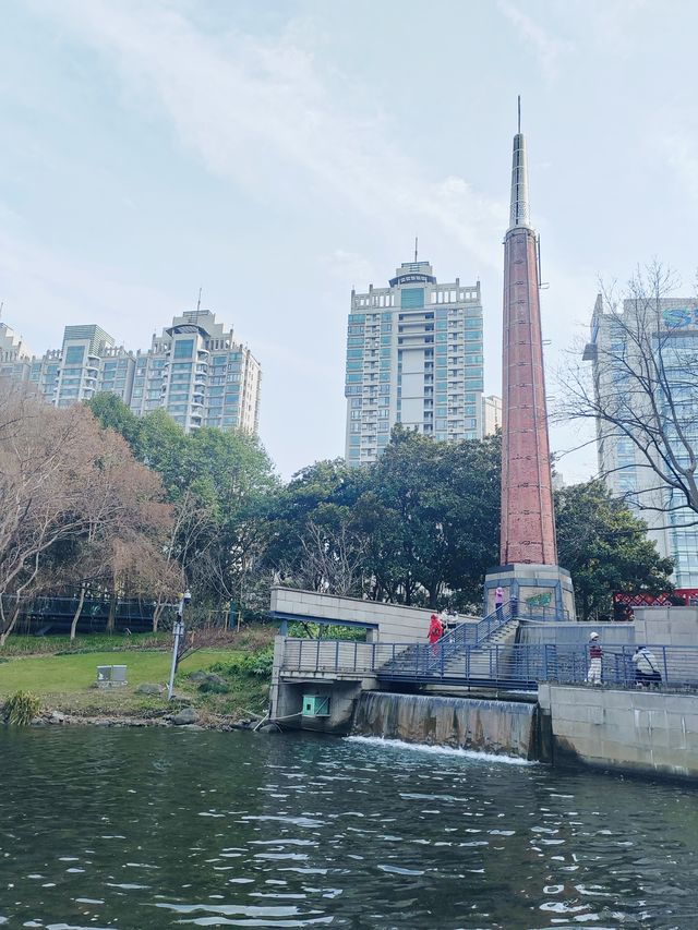 鬧市中竟有這樣的秘境-徐家匯公園