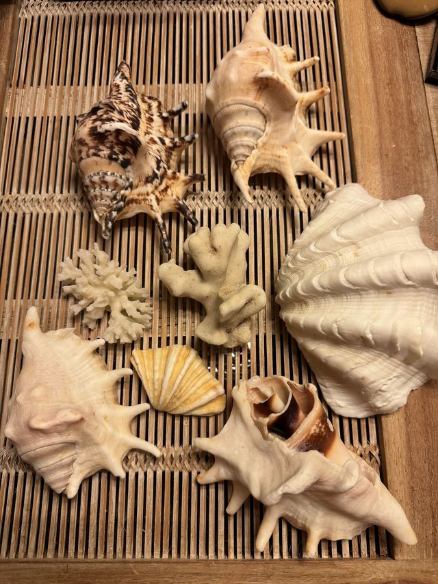 馬來西亞免簽 人均僅4k玩轉攻略