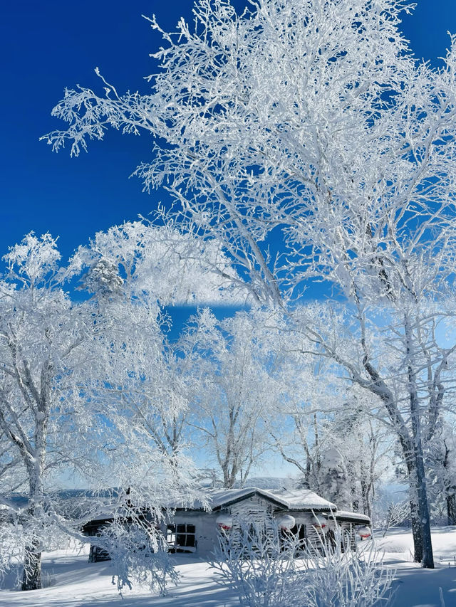 我上春山與你來見
