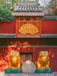 普救寺 | 唐風古剎裏藏着千年愛情密碼