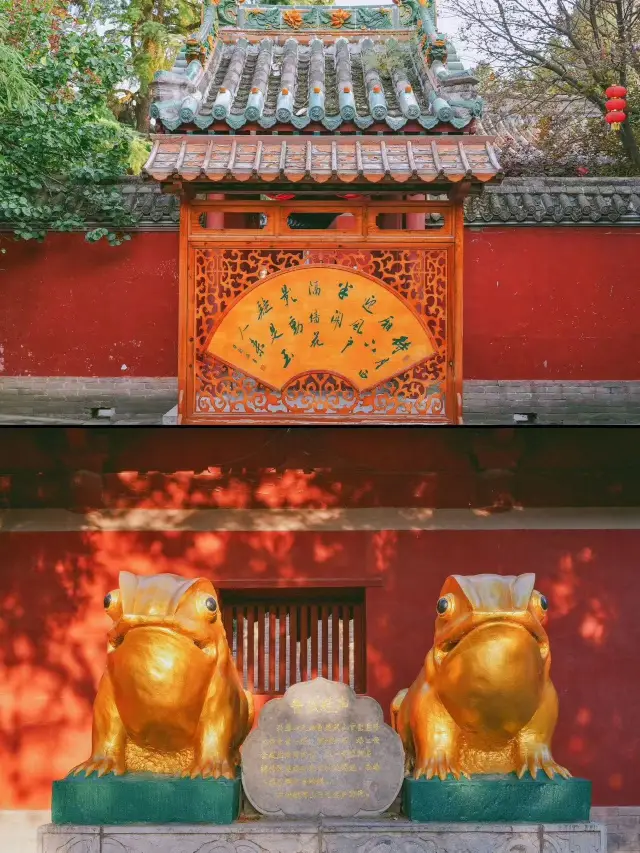 Pujue Temple | A Tang Dynasty Temple with a Thousand-Year-Old Love Story