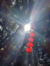 🏯 深圳的心靈淨土 - 弘法寺 🏯