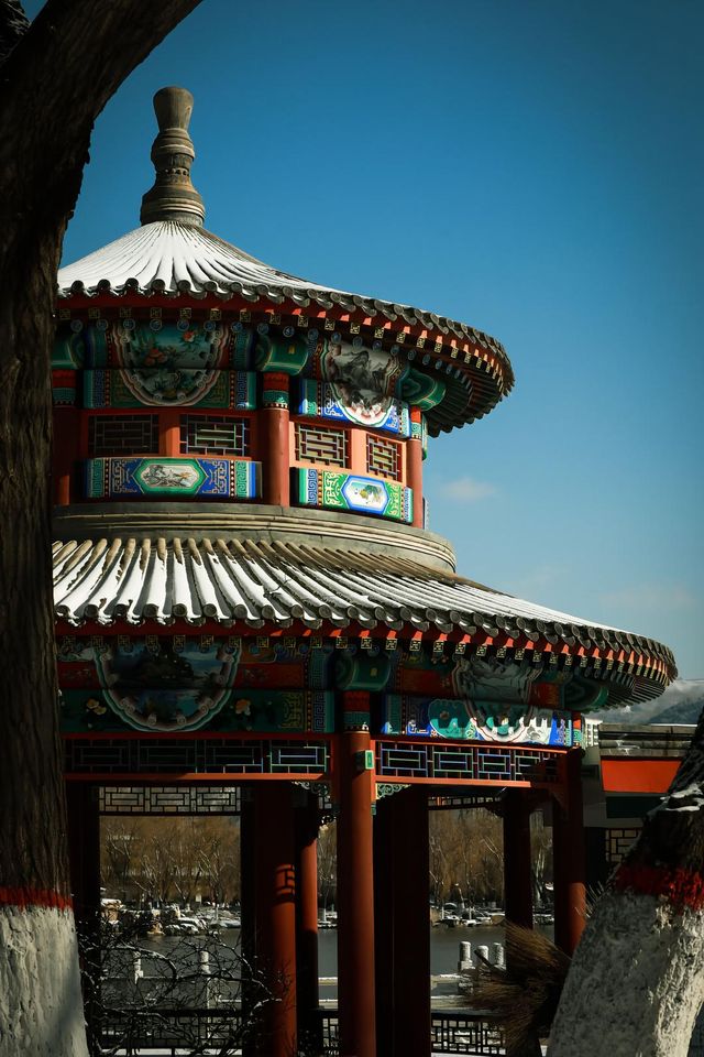 打卡西寧人民公園