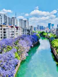 Kunming Attractions 