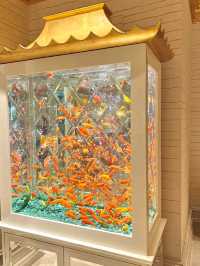 澳門永利皇宮發財魚缸打卡路線