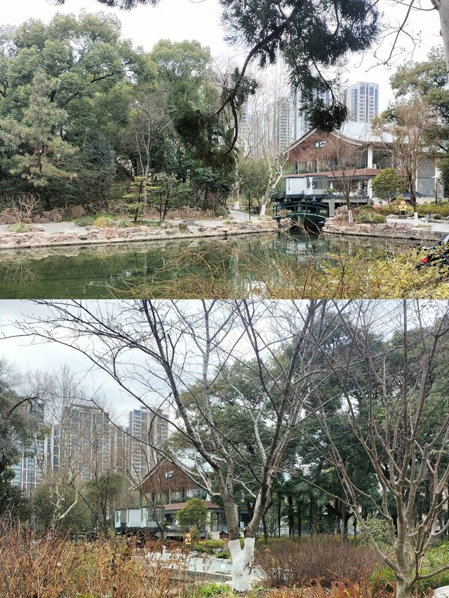 上海和平公園