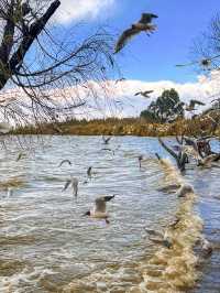 撈魚河濕地公園生存指南：如何完美仆街！