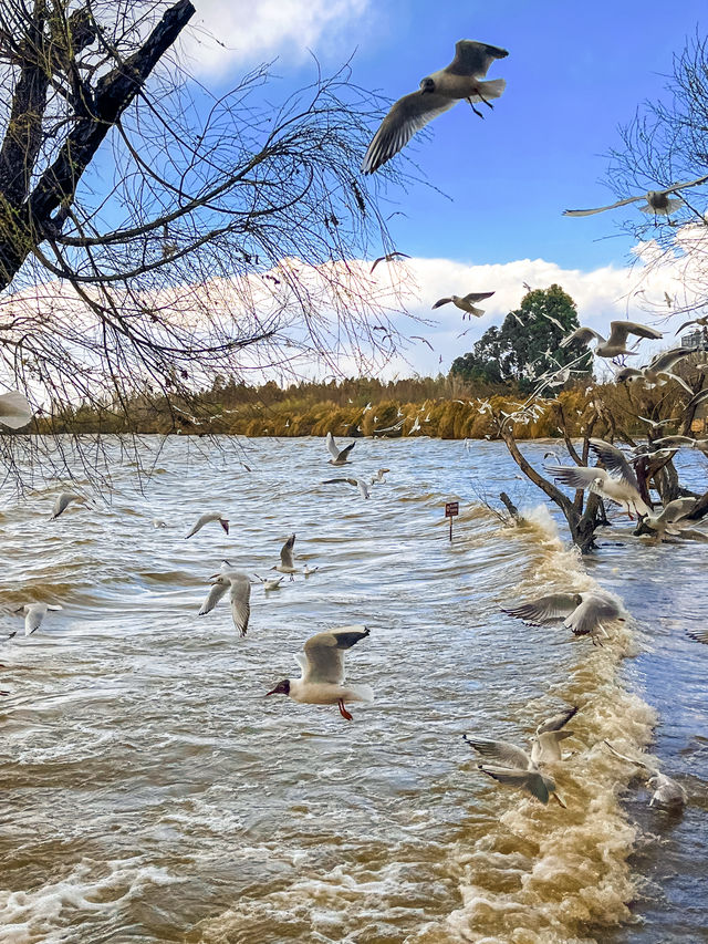 撈魚河濕地公園生存指南：如何完美仆街！