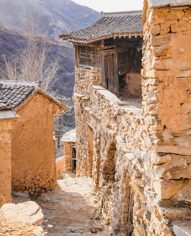 我好怕它火