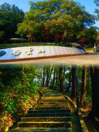 雲深不知處，人在畫中遊