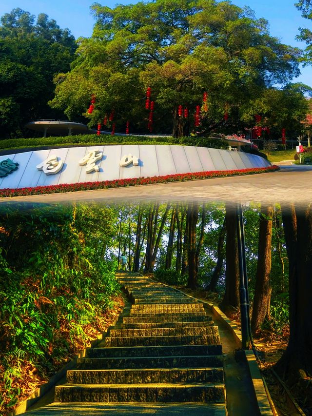 雲深不知處，人在畫中遊