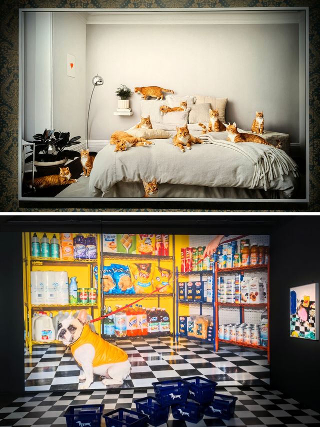 蘇州河的春日人文藝術~展覽和美食皆不可錯過 蘇州河的春日人文藝術~展覽和美食皆不可錯過