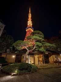 6日春遊日本 盡享絢爛櫻花盛宴
