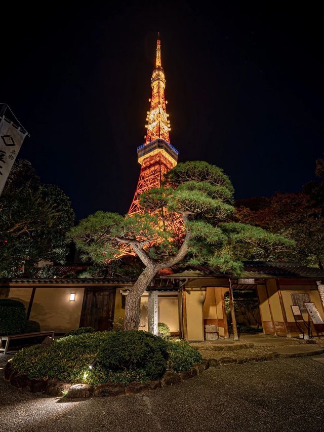 6日春遊日本 盡享絢爛櫻花盛宴