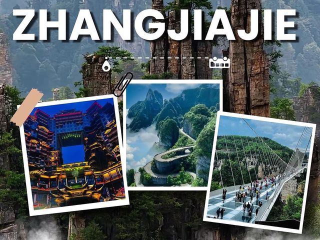 🌸🇨🇳Discover the Magic of Spring in China! ✨