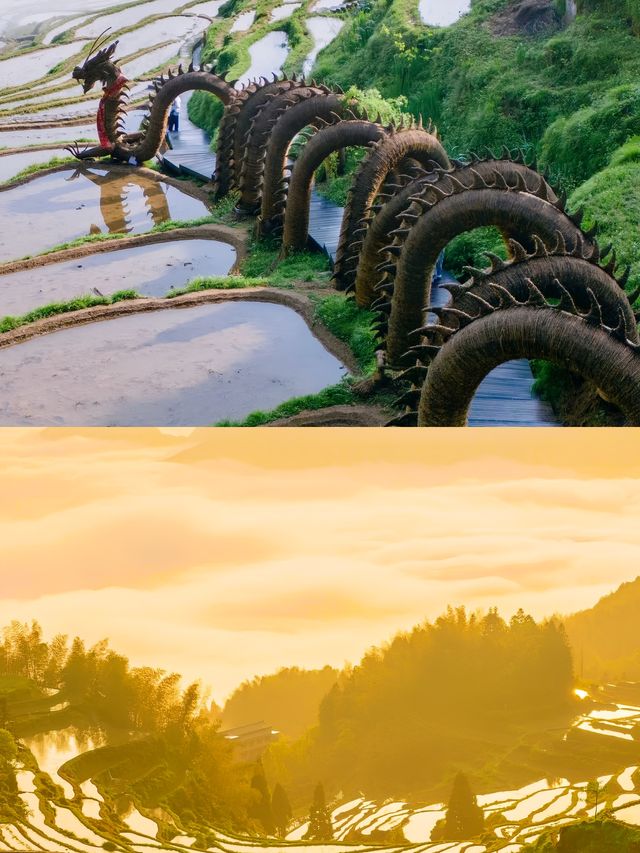 雲和梯田，隱藏在山間的夢幻田園
