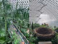 闖入韓劇同款夢幻綠野韓國巨濟植物園探秘