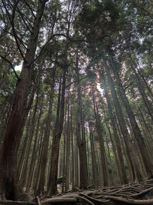 4日暢遊九江-上饒-景德鎮 超實用攻略來啦