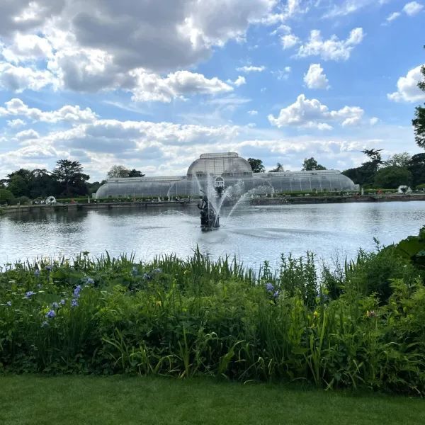 Exploring the Vastness of Kew Gardens