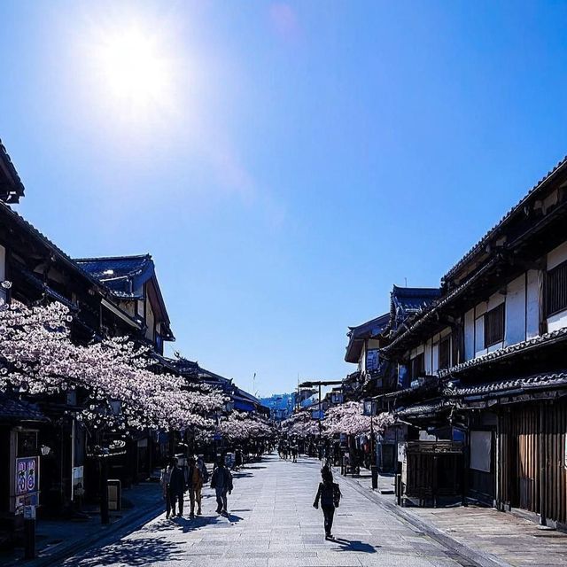 尾鷲市，愛意漫遊