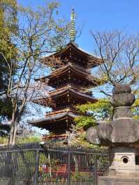 東京賞櫻｜懶人寶典 東京三條精華賞櫻路線