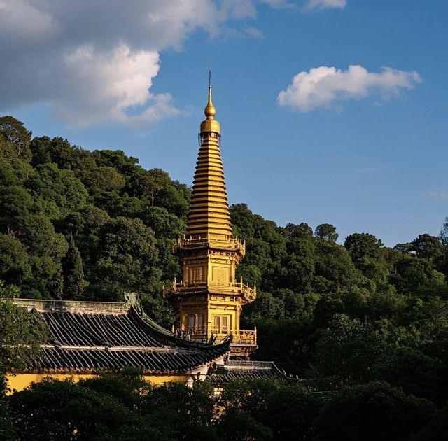 阿育王寺：寧波的佛門聖地之旅
