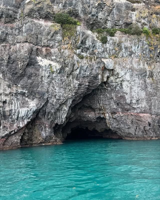 新西蘭阿卡羅阿海港｜法式風情小鎮，邂逅海豚的夢幻港灣！