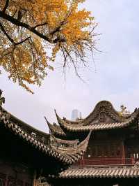 Yuyuan Garden: A Serene Oasis in Shanghai