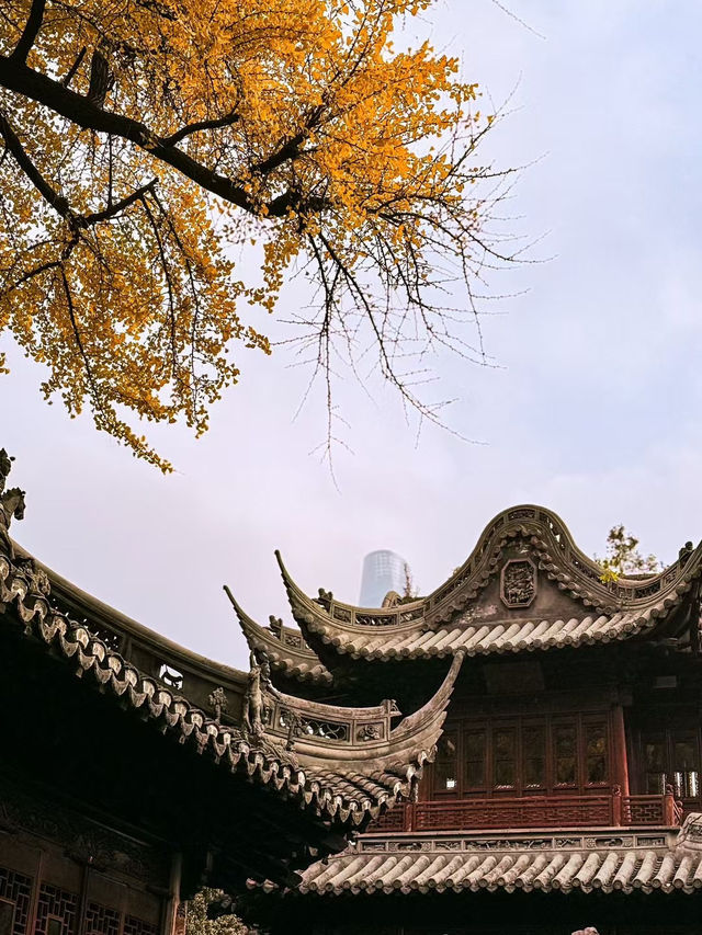 Yuyuan Garden: A Serene Oasis in Shanghai