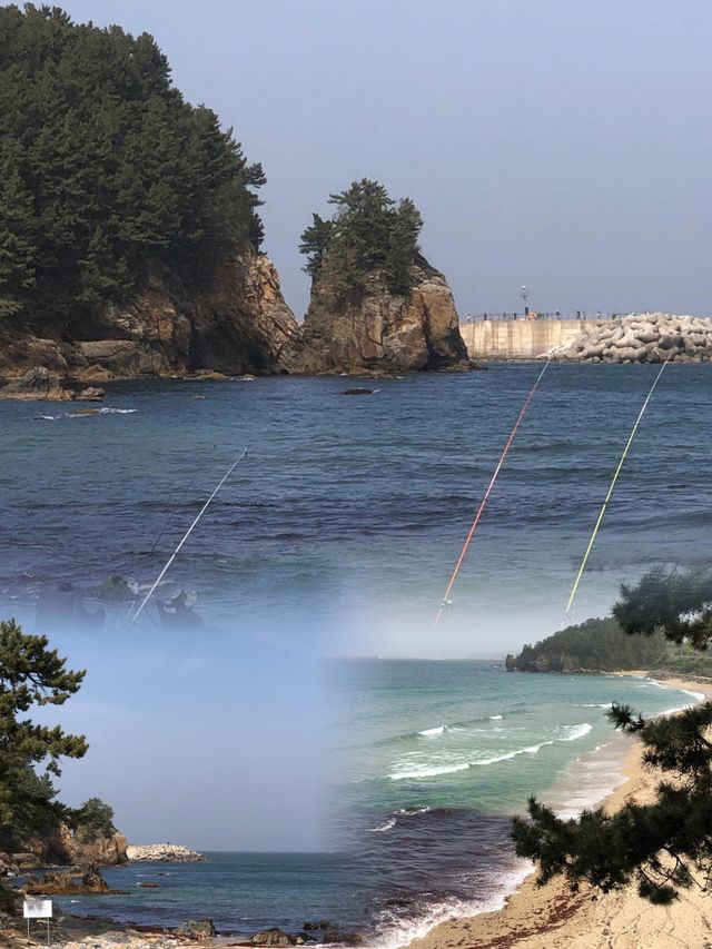 別只知道濟州島啦！韓國東海超絕旅遊攻略
