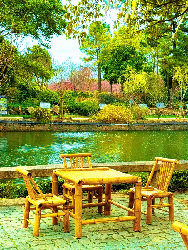 Wuxi Li Garden Cherry Blossom Viewing Guide: Don't Get Lost in the Spring Romance