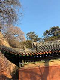 5 天暢遊忻州等地，超詳細攻略助你玩轉每一刻