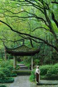 Discover the Most Relaxing City Walk Route Around West Lake!
