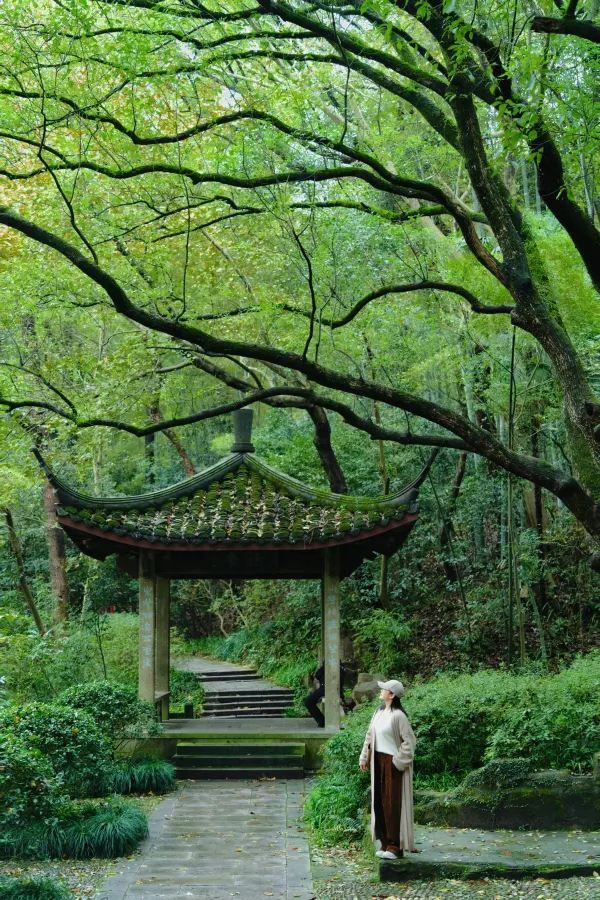 Discover the Most Relaxing City Walk Route Around West Lake!