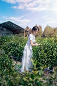 用一場森林GapDay，開啟治癒山民體驗。