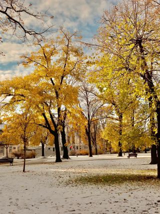 Multi-Country Tour in Serbia and Beyond: 10-Day Travel Guide