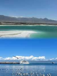【青海湖——高原上嘅藍寶石】