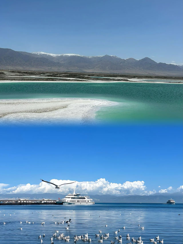 【青海湖——高原上嘅藍寶石】