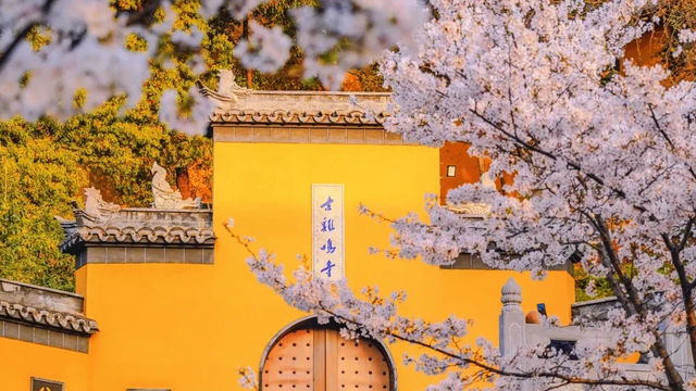 南京四月旅行攻略：邂逅梧桐飛絮裏的金陵春天