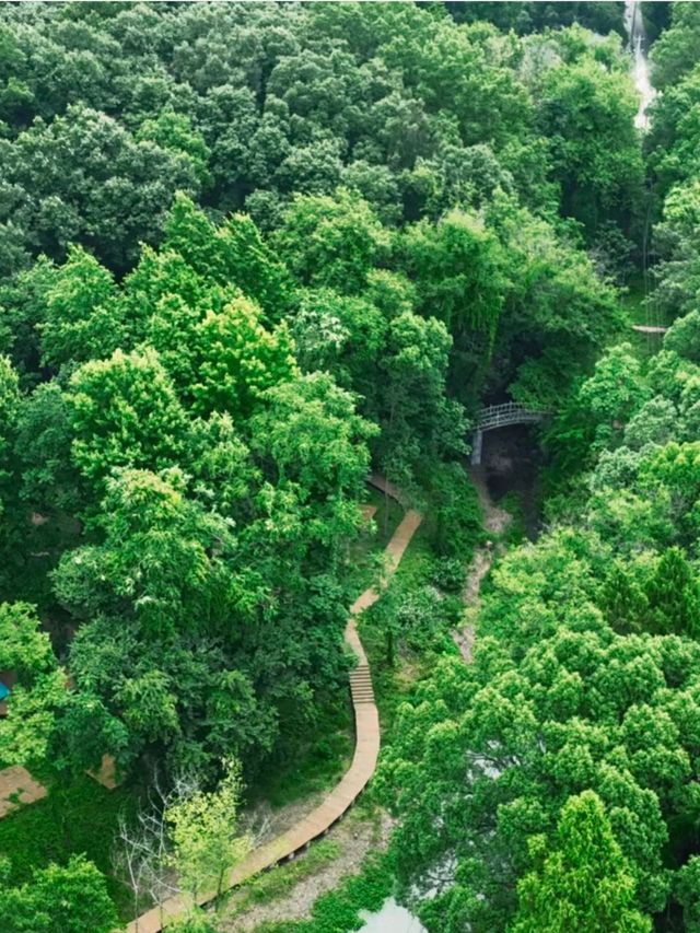 荊門太子山