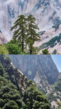 4 真不建議去華山讓你看到不一樣的風景