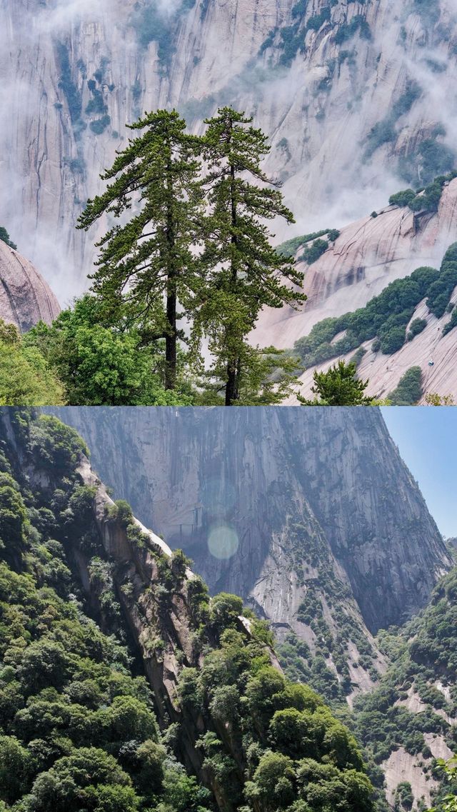 4 真不建議去華山讓你看到不一樣的風景