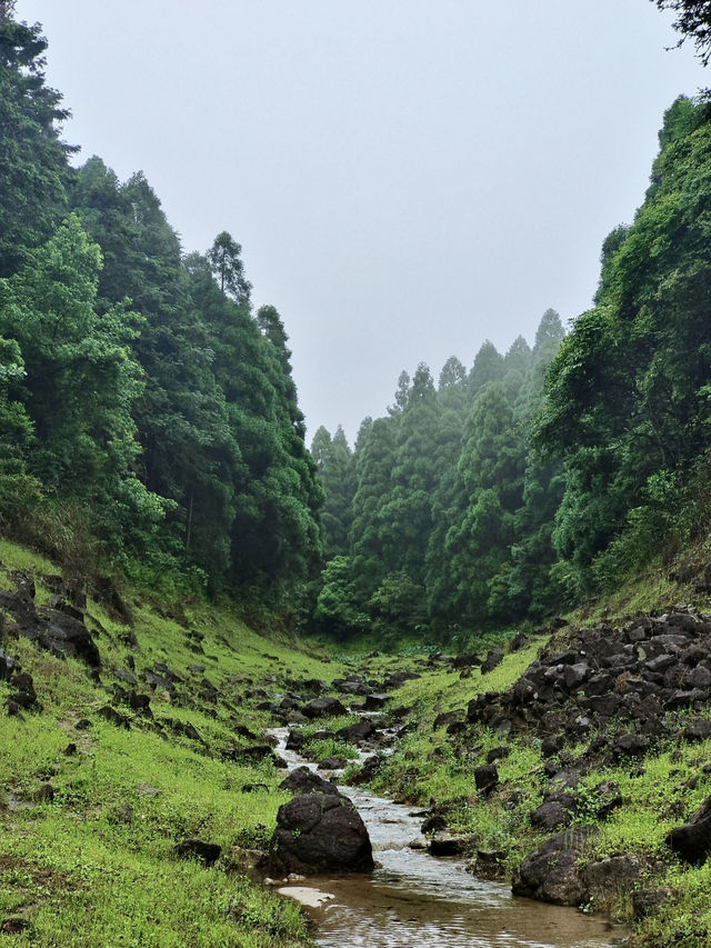 玉林大容山森林公園：霧中仙境之約