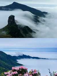 貴陽→梵淨山1日極限挑戰 | 人均400元登頂「天空之城」