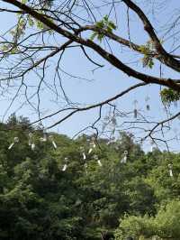 五一衝天目湖山水公園｜揚州周邊遊