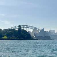 시드니 현지인들 결혼식으로 유명한 너무 예쁜 가든 🇦🇺
