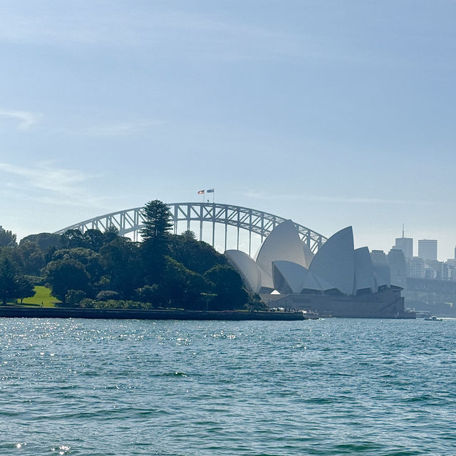 시드니 현지인들 결혼식으로 유명한 너무 예쁜 가든 🇦🇺