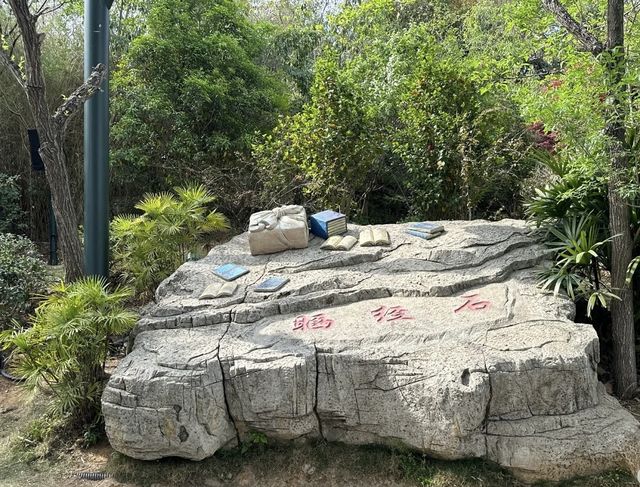 闖入黃果樹瀑布嘅夏日仙境！