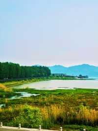 青山湖 | 邂逅城市中的詩意水鄉，開啟靜謐湖居之旅